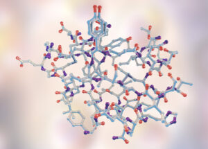 Peptide Structure